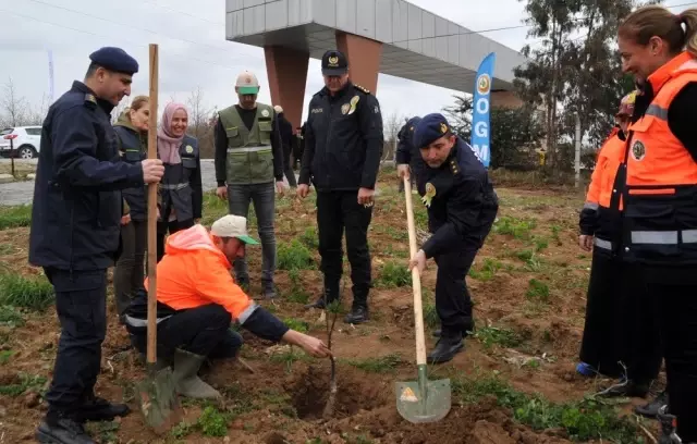 Adalet Ormanı'nda Meyve Fidanları Toprakla Buluşturuldu Adalet Ormanı'nda Meyve Fidanları Toprakla Buluşturuldu