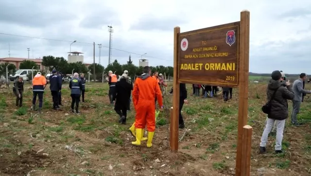 Adalet Ormanı'nda Meyve Fidanları Toprakla Buluşturuldu Adalet Ormanı'nda Meyve Fidanları Toprakla Buluşturuldu