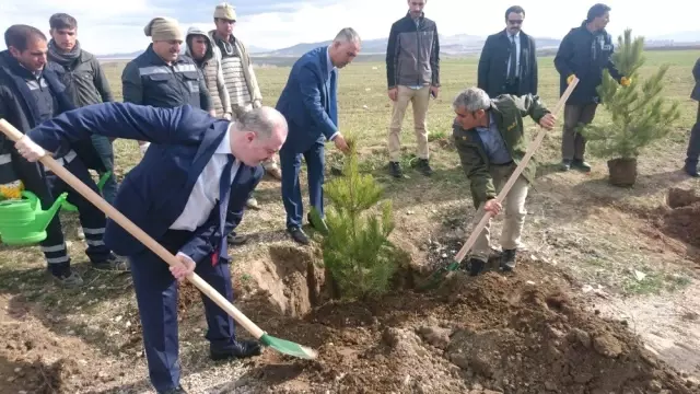 Başkan Özgökçe'den 'Dünya Ormancılık Günü ve Orman Haftası' Mesajı Başkan Özgökçe'den 'Dünya Ormancılık Günü ve Orman Haftası' Mesajı