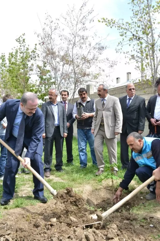 Başkan Özgökçe'den 'Dünya Ormancılık Günü ve Orman Haftası' Mesajı Başkan Özgökçe'den 'Dünya Ormancılık Günü ve Orman Haftası' Mesajı