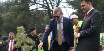 izmir de denetimli serbestlik yukumluleri adalet ormani olusturdu haberler