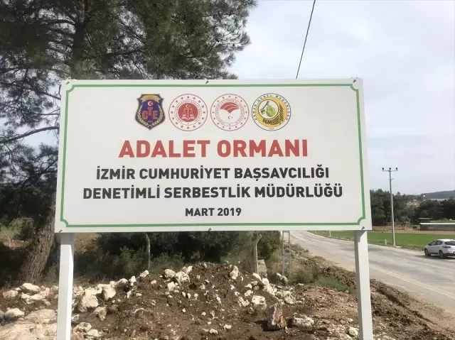 izmir de denetimli serbestlik yukumluleri adalet ormani olusturdu haberler