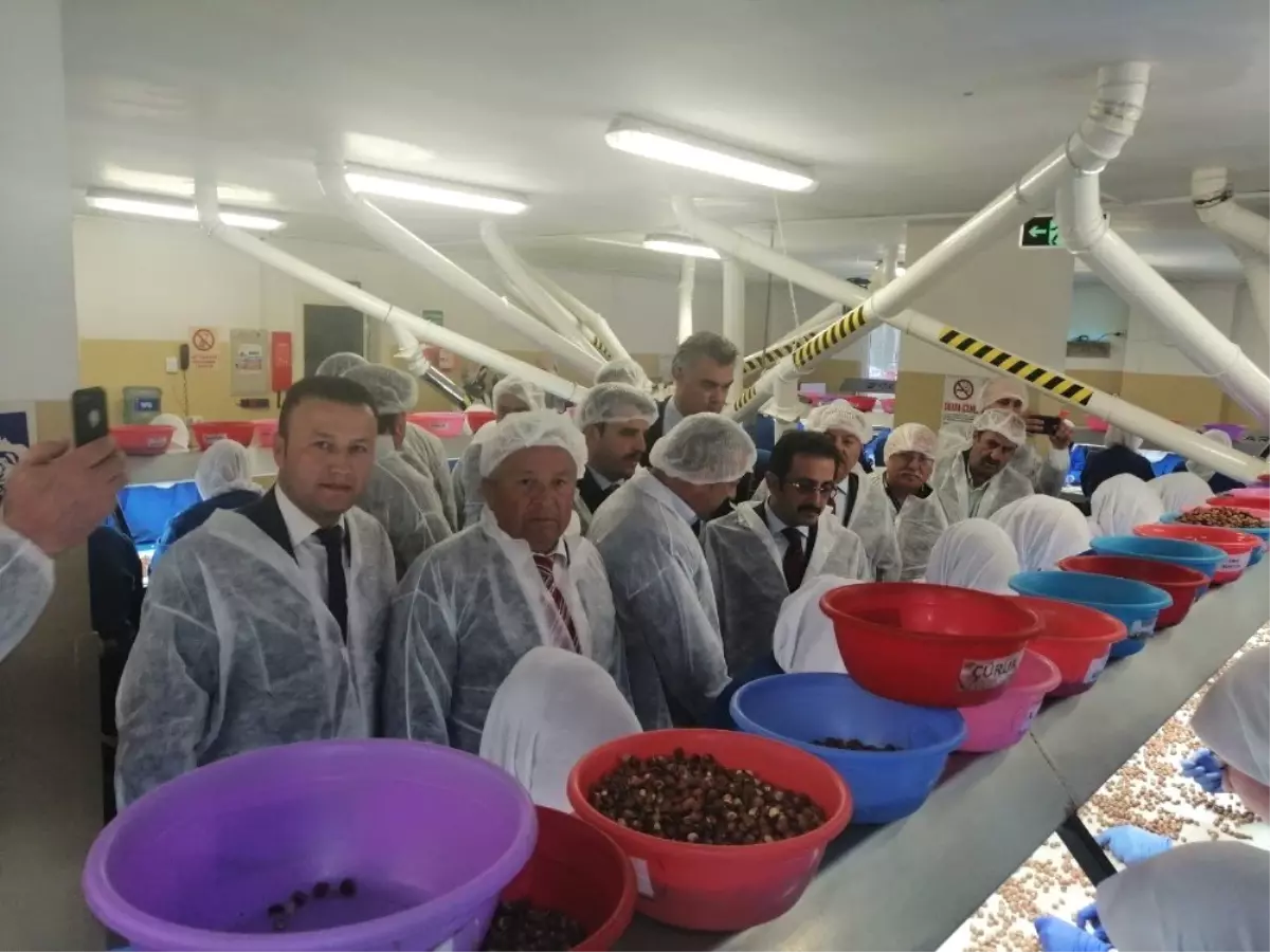 Ormanlı'da Millet Bahçesi ve Dere Islahı Projeleri Onaylandı