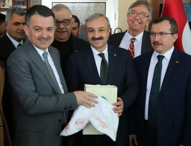 Çiftçiye 1 Milyar 432 Milyon Lira Destek Ödemesi Çiftçiye 1 Milyar 432 Milyon Lira Destek Ödemesi