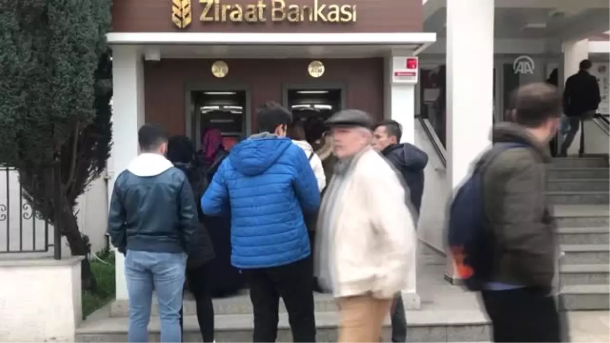 Fındıkta Alan Bazlı Gelir Desteği Ödemesi Başladı