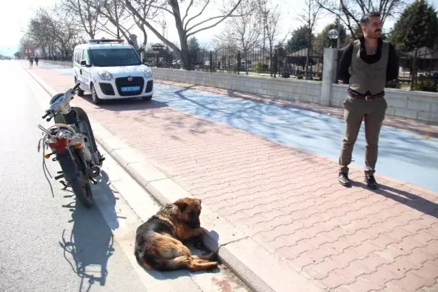 Köpeği Motosiklete Bağlayıp Sürüklediler