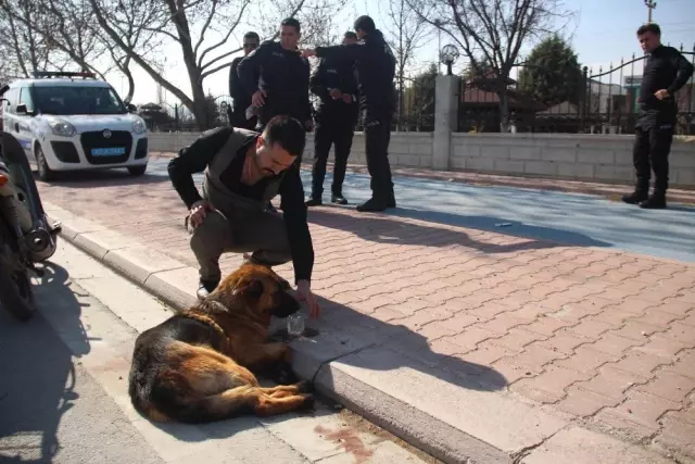 Köpeği Motosiklete Bağlayıp Sürüklediler