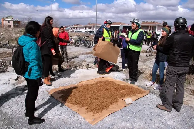 Sokak Hayvanları İçin Pedal Çevirdiler Sokak Hayvanları İçin Pedal Çevirdiler