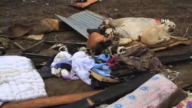Yangında Tavanı Çöken Ev Kül Oldu... 9 Kişilik Aile Canını Zor Kurtardı