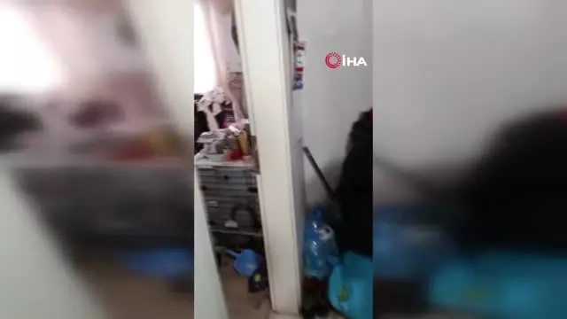 63 Yaşındaki Kadının Evinden 5 Kamyon Çöp Çıktı 63 Yaşındaki Kadının Evinden 5 Kamyon Çöp Çıktı