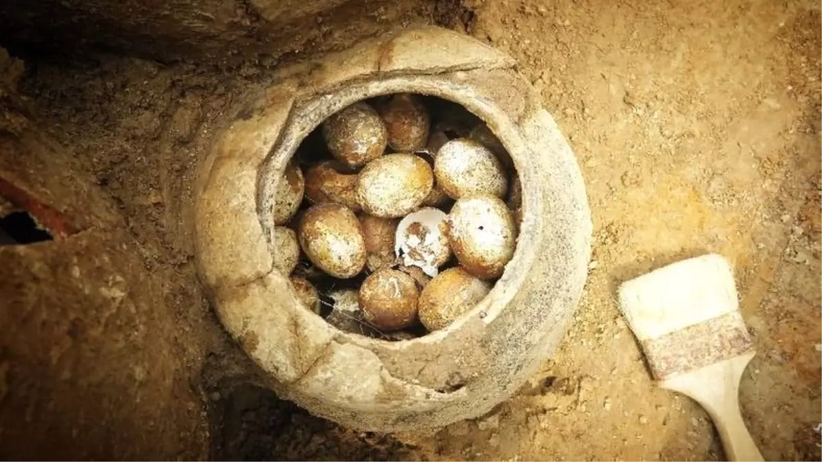 Çin'de Bir Mezarda 2500 Yıllık Kırılmamış Yumurtalar Bulundu