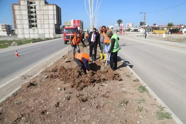 Silopi Belediyesinden Modern Işıklandırmalar ve Peyzaj Çalışmaları
