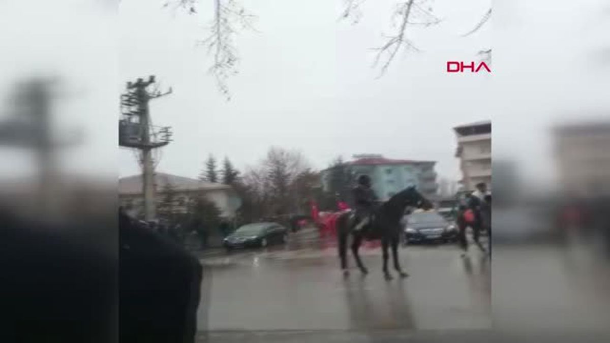 Kahramnamaraş Huysuzlanan At, Binicisini Sırtından Attı