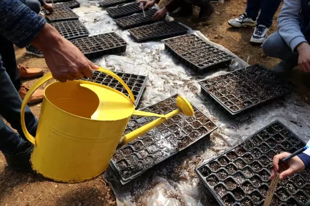 Ata Tohumları' Öğrencilerin Elinde Hayat Bulacak Ata Tohumları' Öğrencilerin Elinde Hayat Bulacak