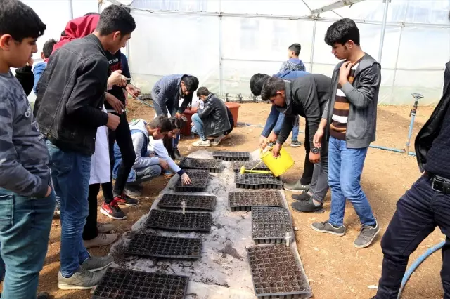 Ata Tohumları' Öğrencilerin Elinde Hayat Bulacak Ata Tohumları' Öğrencilerin Elinde Hayat Bulacak