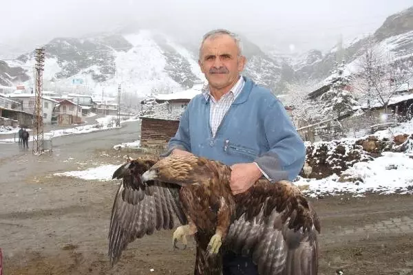 Uçamayan Kartala Sahip Çıktı