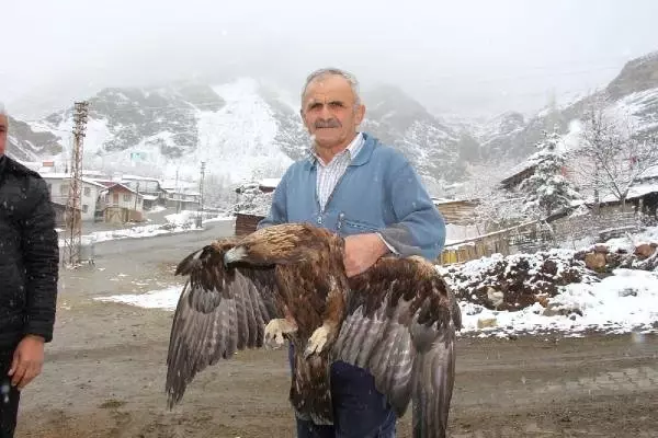 Uçamayan Kartala Sahip Çıktı