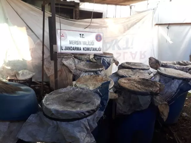 Tarsus'ta 3 Bin Litre Kaçak İçki Ele Geçirildi
