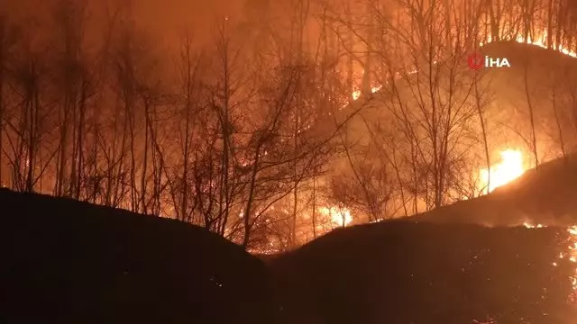 Güney Kore�de Ulusal Felaket İlan Edildi Haberler
