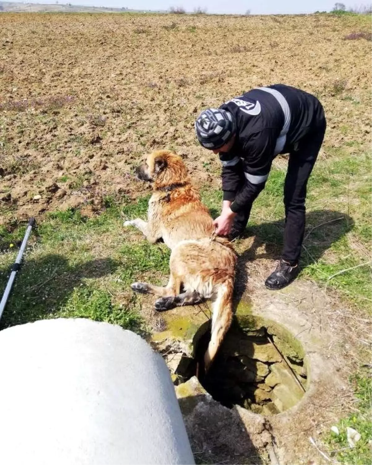 Su Kuyusuna Düşen Köpeği İtfaiye Kurtardı Haberler