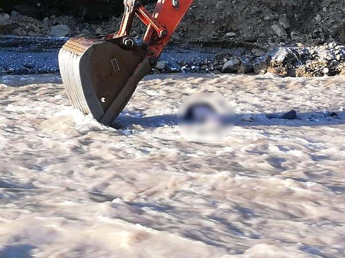 Asma Köprüden Dereye Düşen Çiftçi Öldü