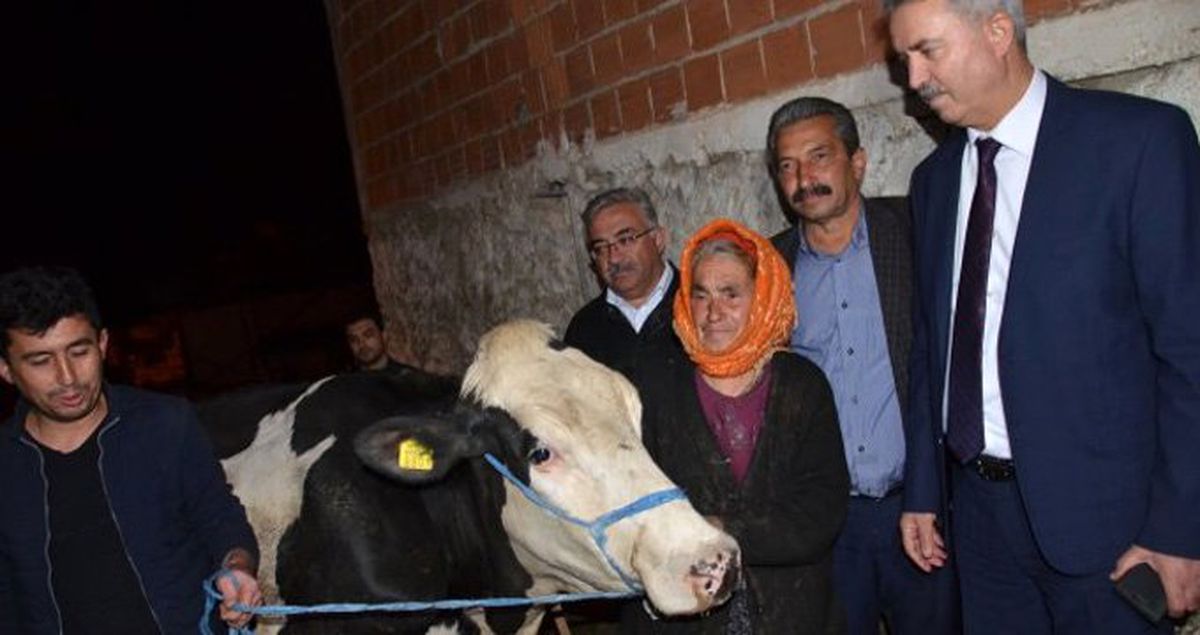 Bakanlık, İneğinin Arkasından Gözyaşı Döken Nine İçin Harekete Geçti