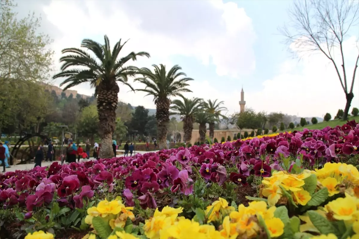 Balıklıgöl Yerleşkesi'nde İlkbahar Güzelliği