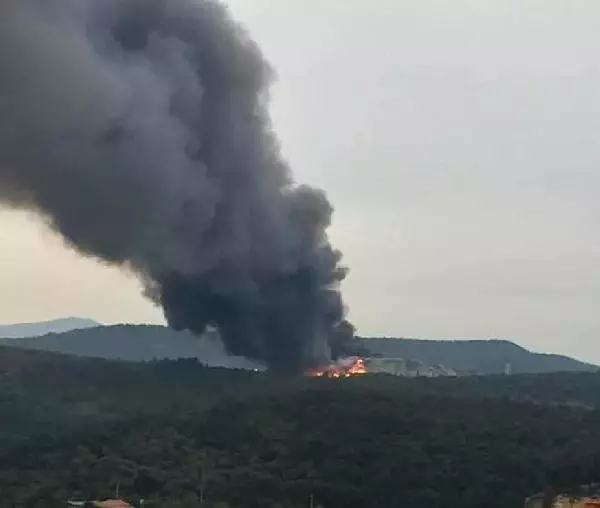 Foça'da Cüruf Depolama Alanında Yangın