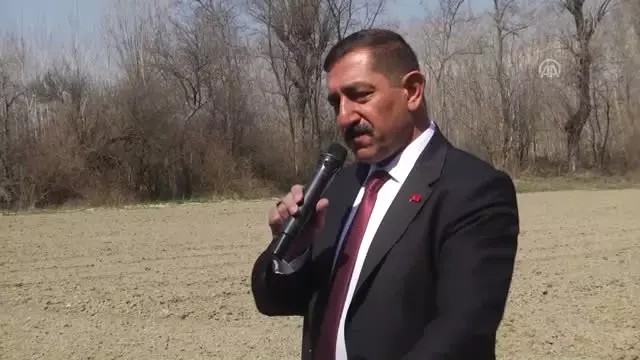 Kastamonu'da 'Kendir Ekim Şenliği' Düzenlendi Kastamonu'da 'Kendir Ekim Şenliği' Düzenlendi