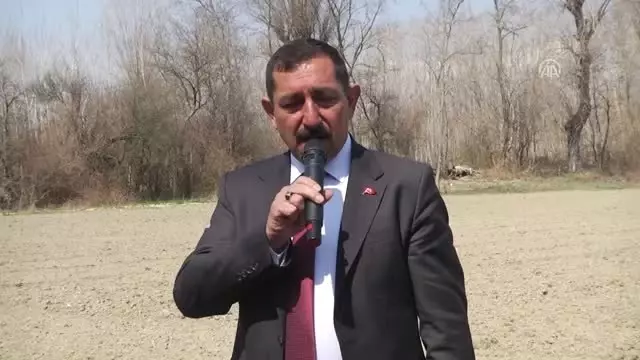 Kastamonu'da 'Kendir Ekim Şenliği' Düzenlendi Kastamonu'da 'Kendir Ekim Şenliği' Düzenlendi