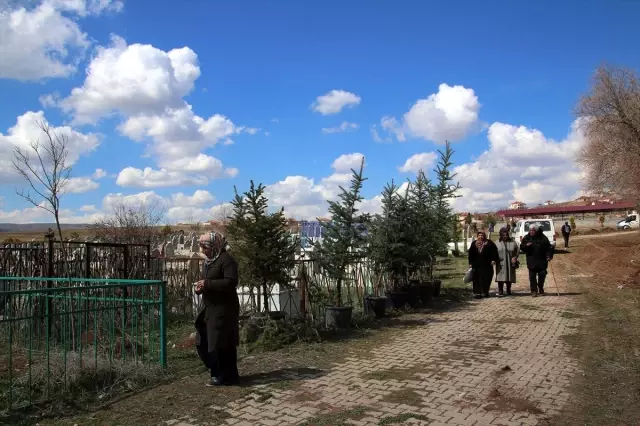 Yardım Paralarıyla Köy Mezarlığı Ağaçlandırılıyor Yardım Paralarıyla Köy Mezarlığı Ağaçlandırılıyor