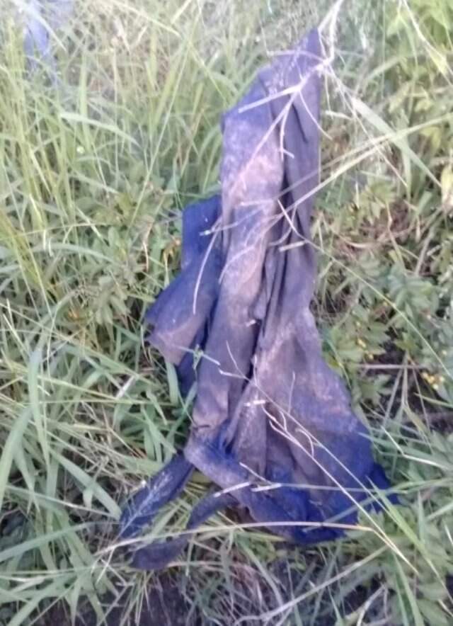 Parktaki Filin Ezerek Öldürdüğü Gergedan Avcısını Aslanlar Yedi
