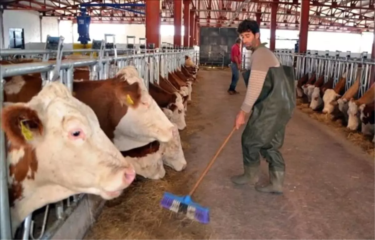 'IPARD 2' proje başvuruları başladı