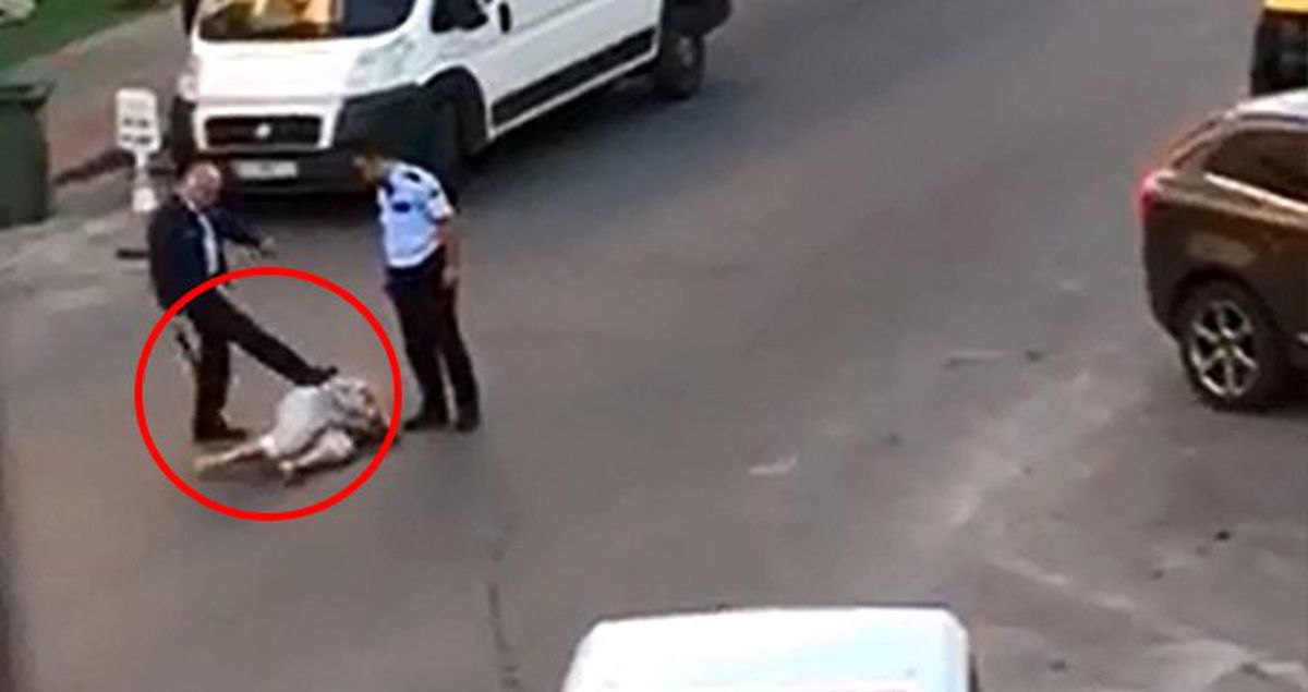 Kadın Turisti Sokak Ortasında Öldüresiye Döven Polise 740 TL Para Cezası Verildi