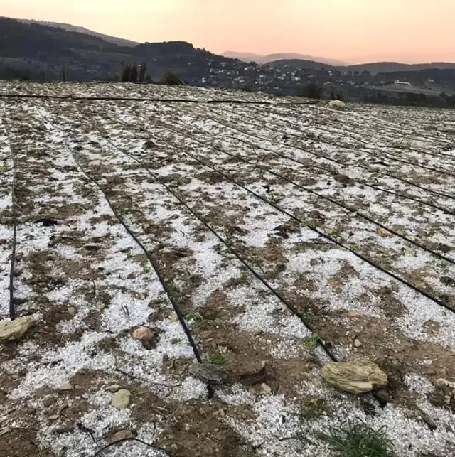 Erdemli'yi Dolu Vurdu Erdemli'yi Dolu Vurdu
