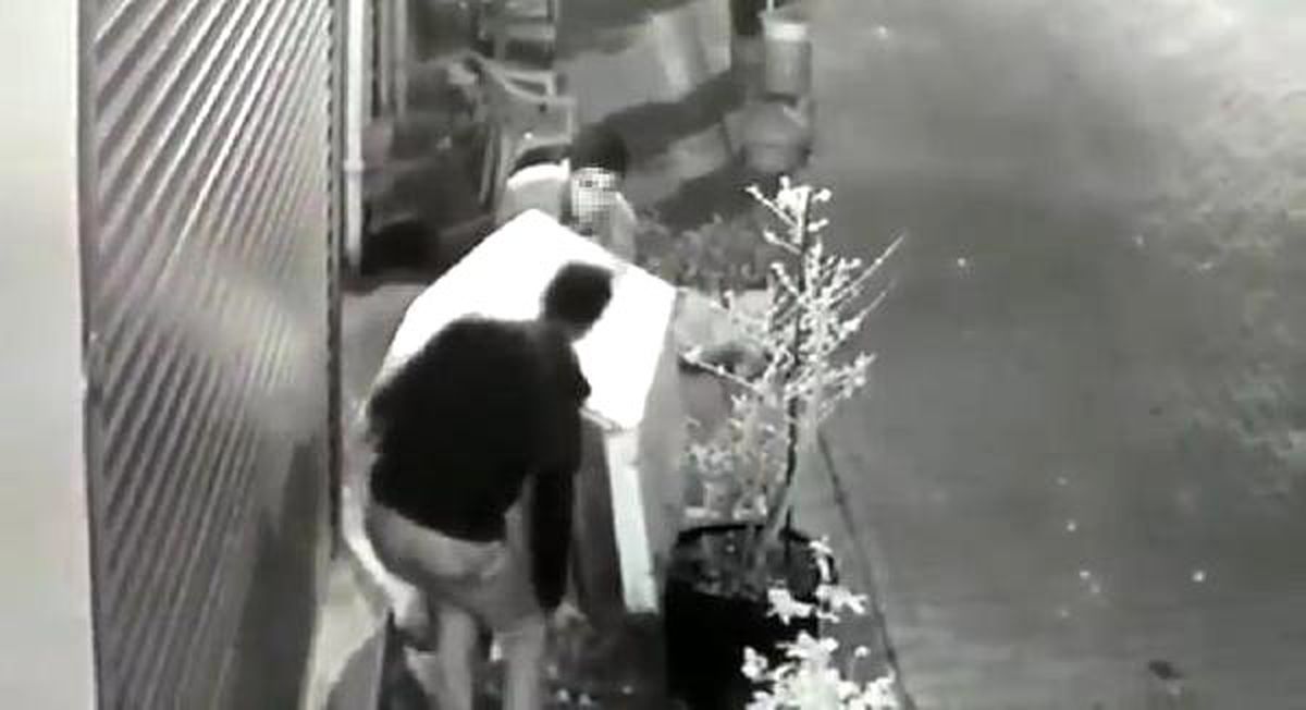 Köpeği Uyandırıp, Kulübesini Çaldılar