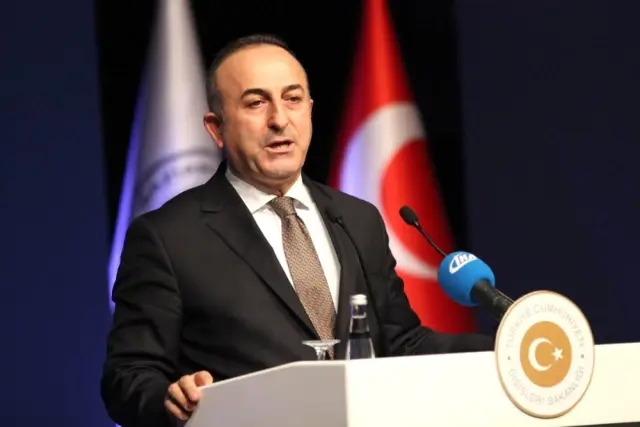 Ampelian petunia - balkon ve çiçek yataklarının dekorasyonu 90