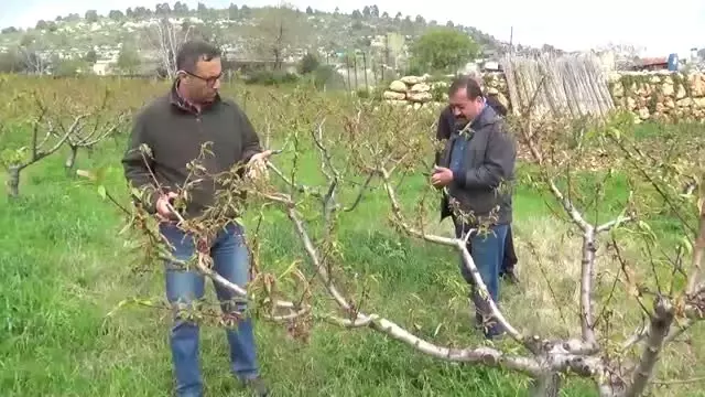 Erdemli'de Doludan 2,5 Milyon Zarar Belirlendi Erdemli'de Doludan 2,5 Milyon Zarar Belirlendi