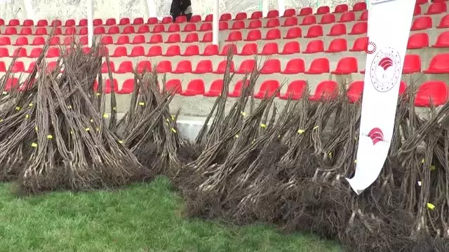 Erzurum'da 40 Bin Ceviz Fidanı ile Yem Bitkisi Tohumu Dağıtıldı