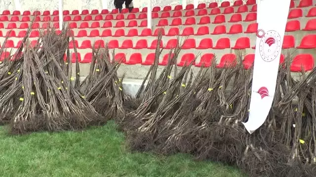 Erzurum'da 40 Bin Ceviz Fidanı ile Yem Bitkisi Tohumu Dağıtıldı