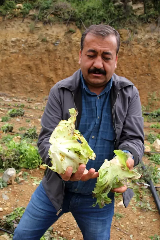 Mersin'deki Dolu Yağışı Mersin'deki Dolu Yağışı