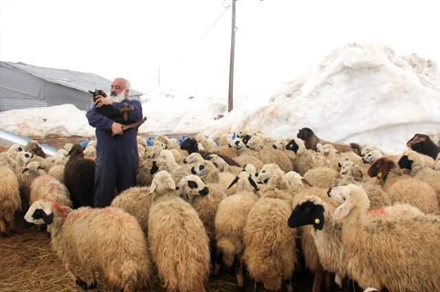 Metropolden Sıkılıp Çocukluk Hayalini Köyünde Gerçekleştirdi