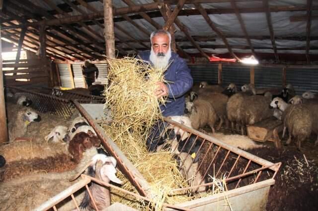 Metropolden Sıkılıp Çocukluk Hayalini Köyünde Gerçekleştirdi