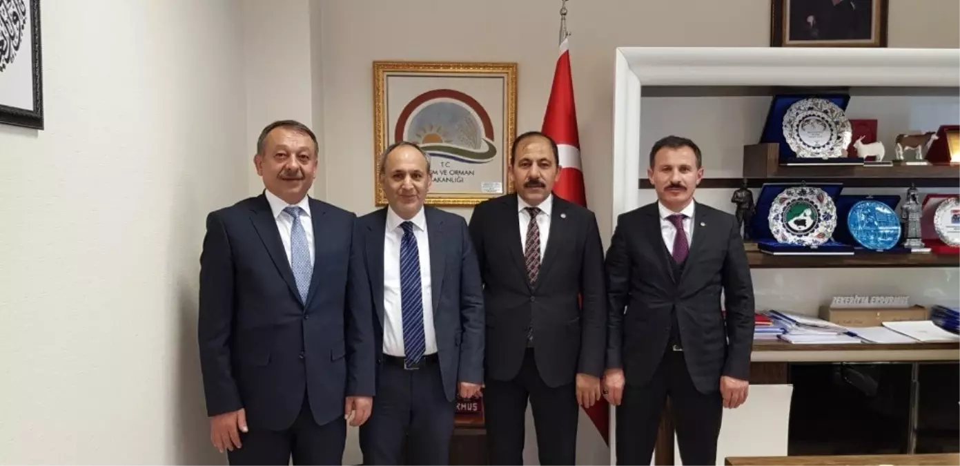 Çorumlu Yöneticiler Hayvancılık Genel Müdürünü Ziyaret Etti