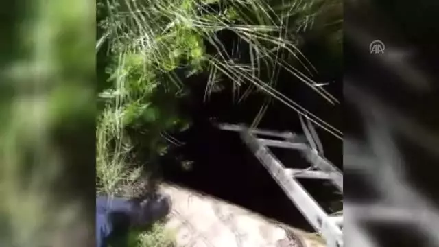 Muğla'da Kuyuya Düşen Köpek Kurtarıldı