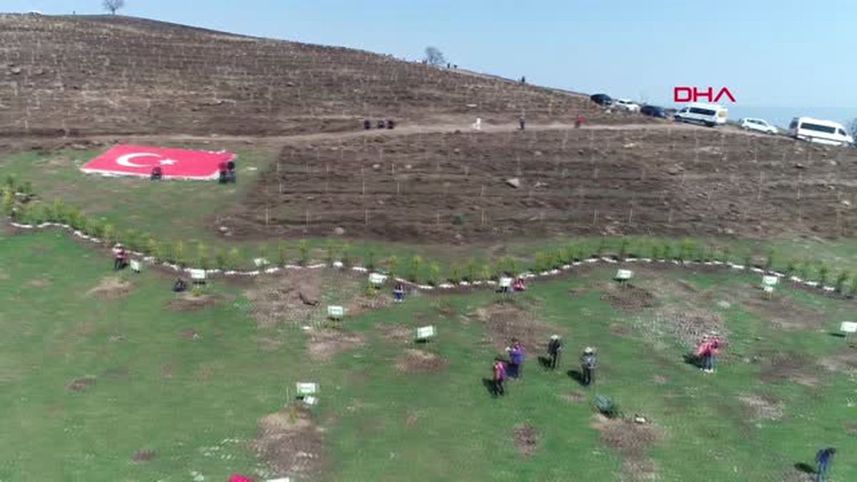 Samsun Dikilen Fidanlarla Türkiye Haritası Oluşturdular