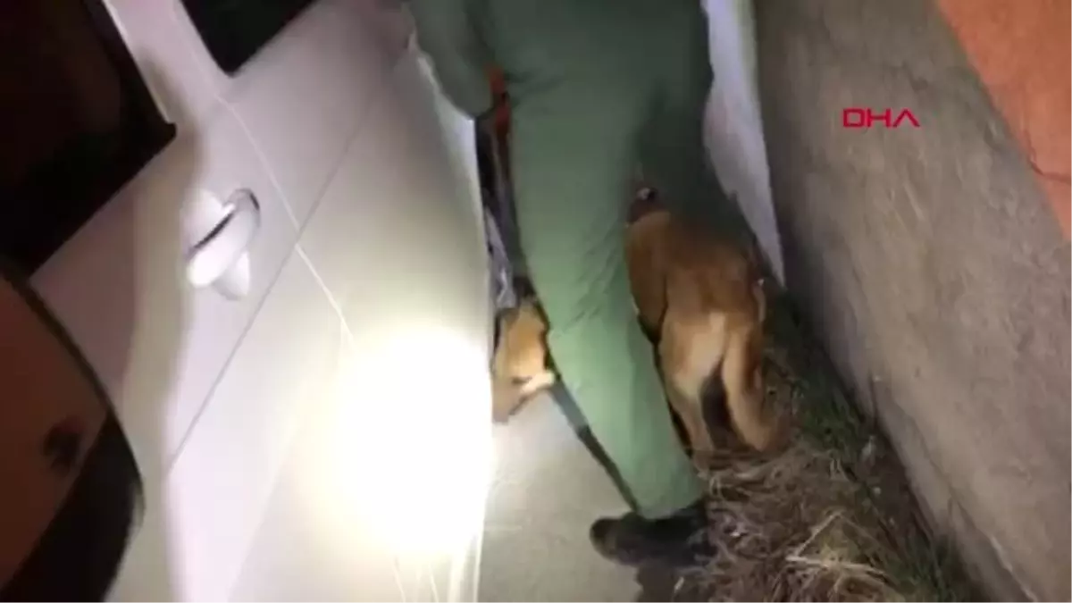 Van'da 47 Kilo 900 Gram Eroin Ele Geçirildi