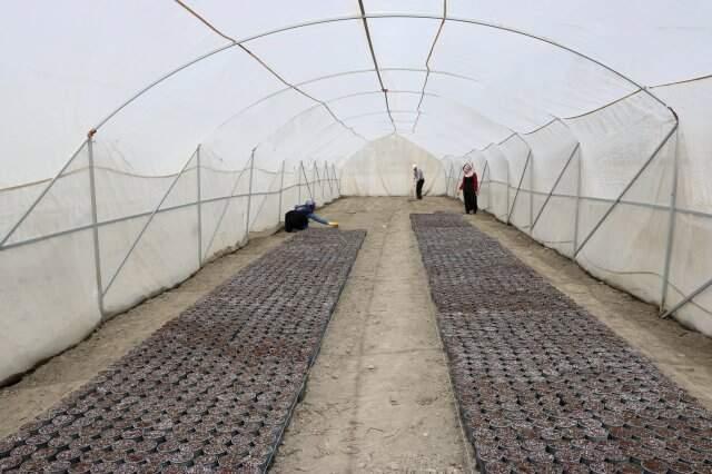 2 Tane Daha 'Milli Patates' Çeşidi Tescillendi