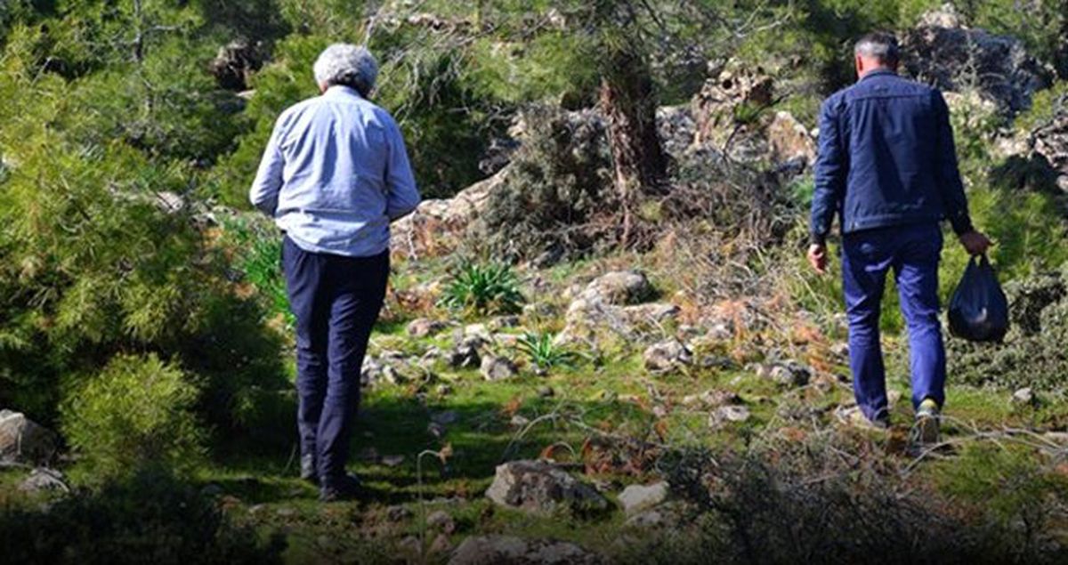 Kilosu 100 TL'ye Satılan Kuzugöbeği Mantarını Bulmak İçin Dağ, Tepe Demeden Arıyorlar