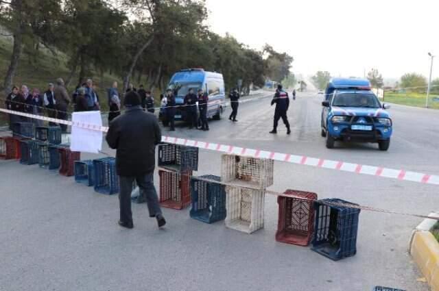 Özel Mülkiyet Olduğu Gerekçesiyle Pamukkale Yolunu Kapattılar
